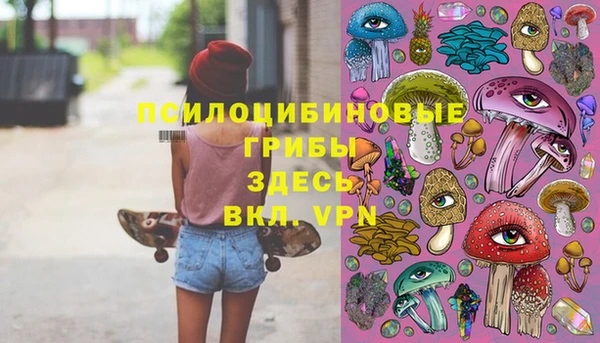 дмт Кодинск