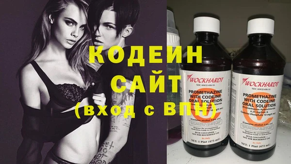 дмт Кодинск