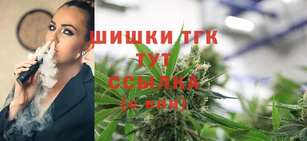 дмт Кодинск