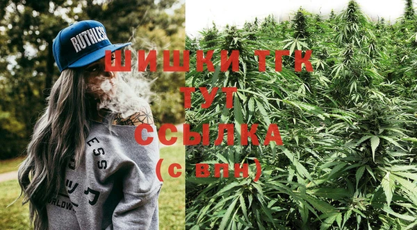 дмт Кодинск