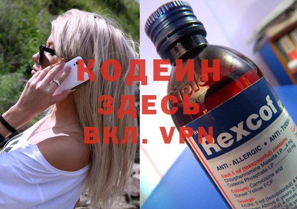 дмт Кодинск