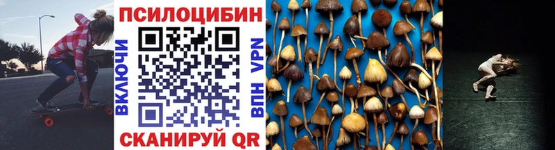 где найти   Яранск  Псилоцибиновые грибы Psilocybe 